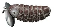Кроулер Catapy Jr. 54мм. 10,5гр. №15