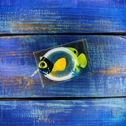 Рыболовная рулетка Fish Measurement Tape №ADEYAKKO