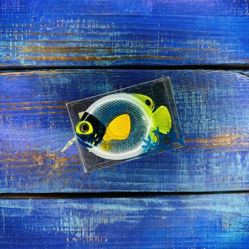 Рыболовная рулетка Fish Measurement Tape №ADEYAKKO